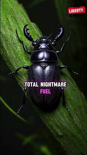 7 Weirdest Bugs You Won’t Believe Exist! 🐞🔥 | Nature’s Creepiest Creatur