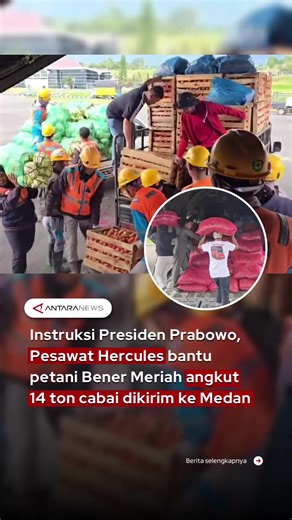 Distribusi hasil panen petani di Bener Meriah, Aceh, mendapat dukungan jalur udara. TNI AU mengerahkan pesawat Hercules A-1339 untuk mengangkut 14 ton cabai dan komoditas lainnya ke Medan, sesuai instruksi Presiden Prabowo Subianto. Langkah ini dilakukan agar petani tetap memiliki pendapatan meski kondisi wilayah terdampak bencana. Jalur udara dipilih sebagai solusi cepat di tengah keterbatasan distribusi. Bupati Bener Meriah, Tagore Abubakar, menjelaskan pengangkutan melalui udara dilakukan kar