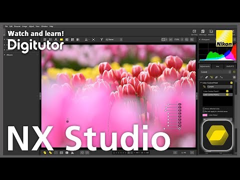 NX Studio #3 Image Adjustment Using Color Control Points | Nikon Digitutor
