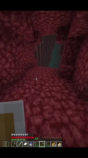 Speedrunner Challenges Two Pro Players in Minecraft