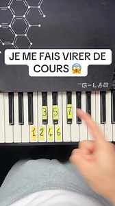Julien Dreneau on Instagram: "JE COMPRENDS TOUJOURS PAS POURQUOI 😱 #tutorials #piano #lafoule #edithpiaf"