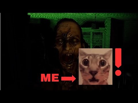 Phasmophobia video - FUNNY MOMENTS