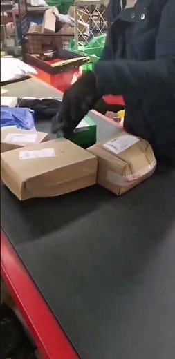 Real Warehouse Sorting in Action | Fast & Accurate Barcode Scanning