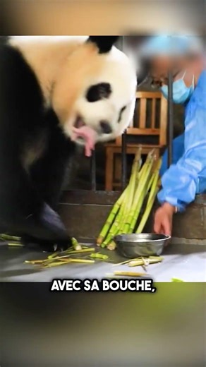 Elle L’a Aimé Comme Son Propre Bébé ❤️ #shorts