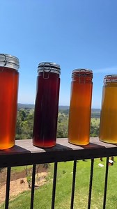 31K views · 633 reactions | Look at these incredible colours of honey from a harvest at Flow HQ  #spring #honey #beekeeping | Flow Hive | Facebook
