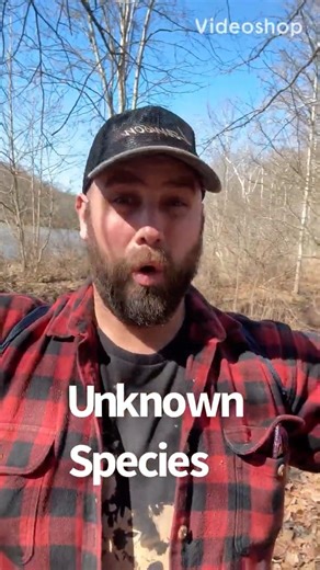 Found an Alien Plant #outdoors #plantlife