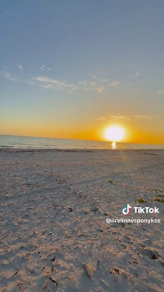 Disfruta de las Playas Paradise en Yucatán