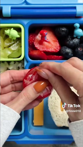 Creative Lunch Ideas for Kindergarten: First Day Tips