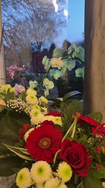 #azerbaycan🇦🇿 #baku #düsseldorf #deutschland🇩🇪