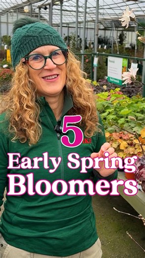 5 Signs of Spring 🌷 Which one would you add to your garden? #springblooms #earlyspringflowers #springgarden | Pike Nurseries