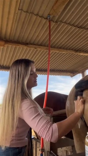 ᴠᴇᴛ ᴀʀɢᴇɴᴛᴜᴍ | Mare, placing a hormone implant @manu_mdca 🔄 The use of hormone implants for mares is a practice aimed at improving their reproductive... | Instagram