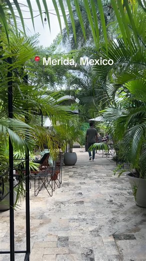 Discover Merida: A Vegan-Friendly Weekend Guide