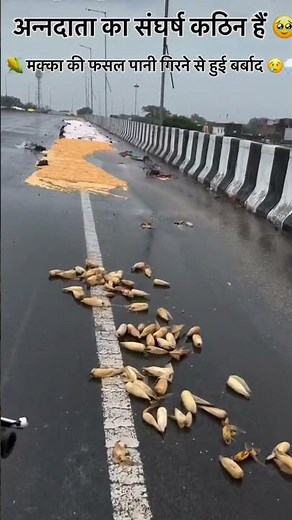 anndata ....🌾🌾#viral #farming #youtubeshorts #subscribers #viral #minivlog #song #tranding #deshi