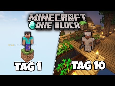 I played Minecraft One Block for 10 days and THIS happened!