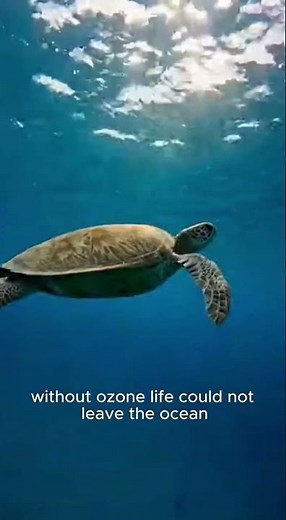 How Earth’s First Ozone Layer Formed | Ancient Earth