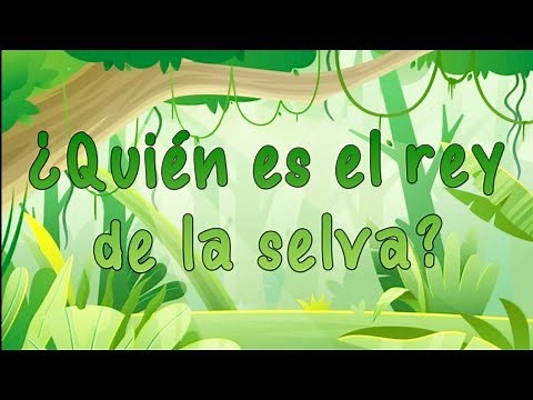 ¿Quién es el rey de la selva?
