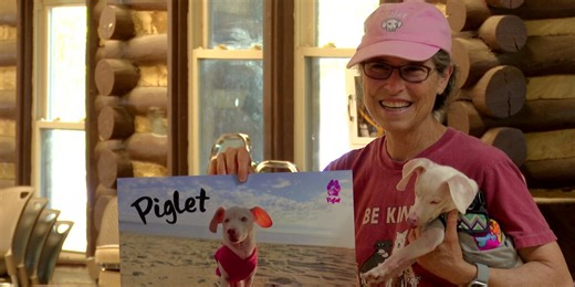 Piglet, the blind, deaf dog, teaches students how to face challenges