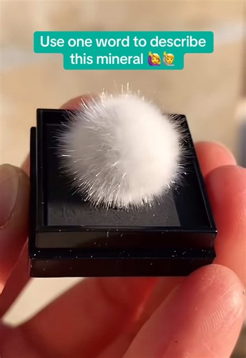 Crystal So Cool on TikTok