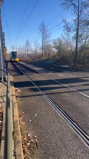 NGTXDD Linie 2 in Dresden Cotta #viralvideo #sachsen #tram #tramspotting #dresden #dvb #new