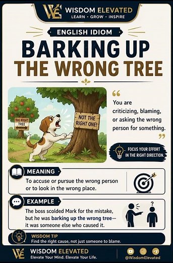 Barking Up The Wrong Tree Meaning #idiomsmeaning