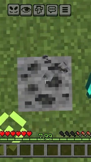 🦜Minecraft Parrot Dance 🦜