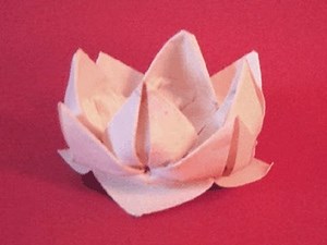 Origami Lotus Instructions: www.Origami-Fun.com