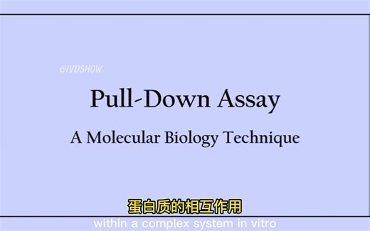 什么是拉下实验？采用蛋白质体外结合实验，是如何分析确认预测蛋白质间相互作用的？