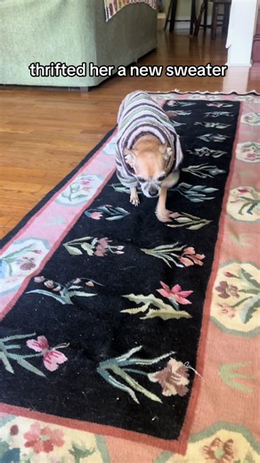 i think she likes it