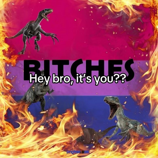 Understanding Bisexuality: An Inclusive Perspective