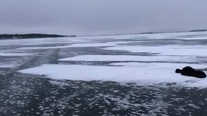 127 reactions · 32 shares | Ice fishing report November 29, 2018 8” of good ice on creel 4-8” on the rest of main lake | Woodland Resort, Devils Lake, ND | Facebook