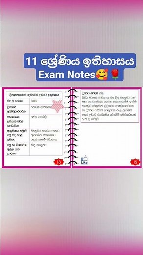 Grade 11 History Exam Notes 📝 | Quick Revision | A+🔥 #Grade11History #ExamNotes