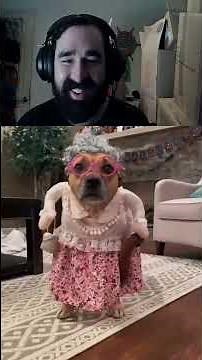 Funny Animal Halloween Costumes!