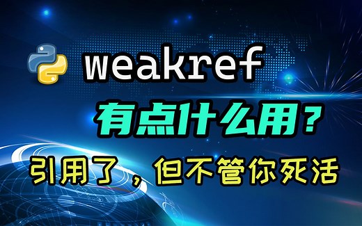 【python】weakref是什么？带你入门弱引用！看了才知道程序可以这么写