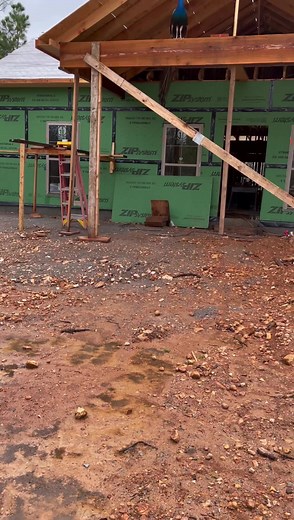 NOTHING Gets By Our Guard Peacock 😆 | Keeping It Dutch