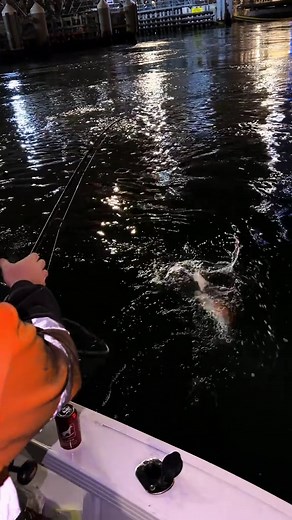 Fishing Adventures in Perth's Swan River