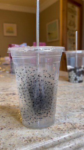 Frog Egg Boba Tea: From Eggs to Tadpoles