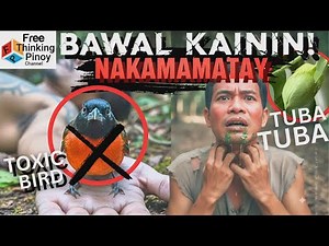 iBON at BUTIKI MAY LASON?! Top 5 Poisonous Animals in the World