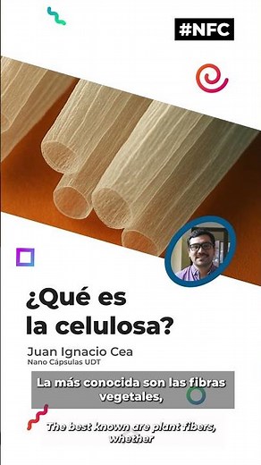 ¿Qué es la celulosa?