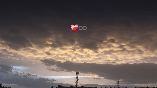 أغنية راي جديدة عن الخسارة والحب💔