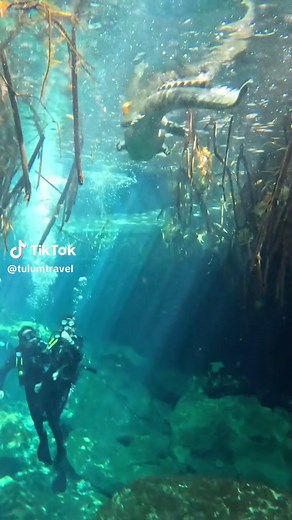 Conoce a Panchito, el guía del Cenote Manatí