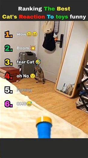 DON'T CHECK THE SOUND 😭😭 #funnycatsvideo #memes #shorts