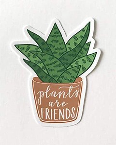 Plants are Friends Vinyl Sticker, Snake Plant Sticker, Plant Lady Gift, Use on Laptop, Tumbler, Phone, Waterbottle