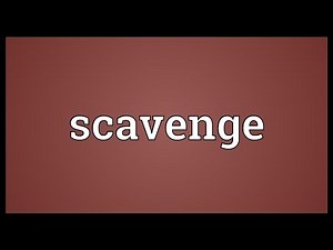 Scavenge Meaning