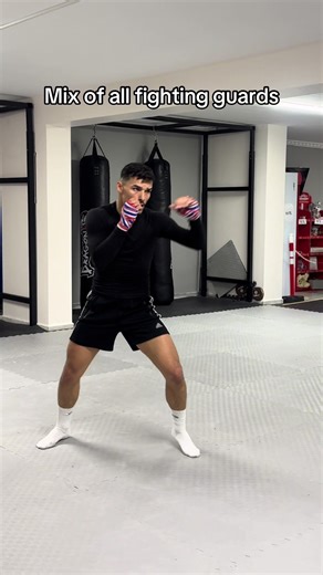 Mix of All Fighting Guards: Techniques and Styles