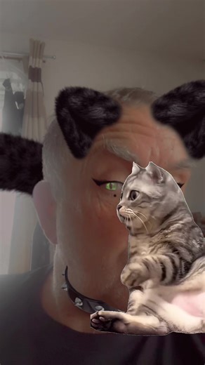 MemeCut: El auge del Catman en la cultura del meme