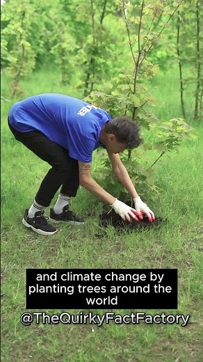 Planting 22 Million Trees! 🌳 MrBeast's #TeamTrees Initiative | Fighting Climate Change