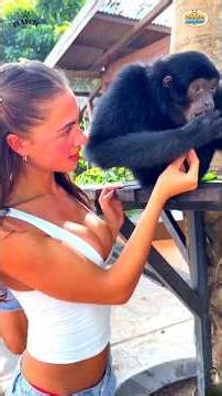 When animals love humans… ❤️ PART 1