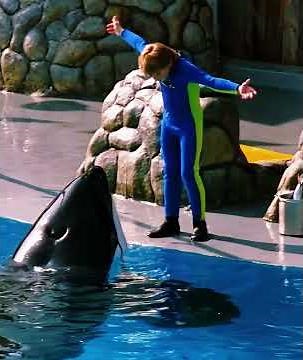 The boy and the orca become friends.
