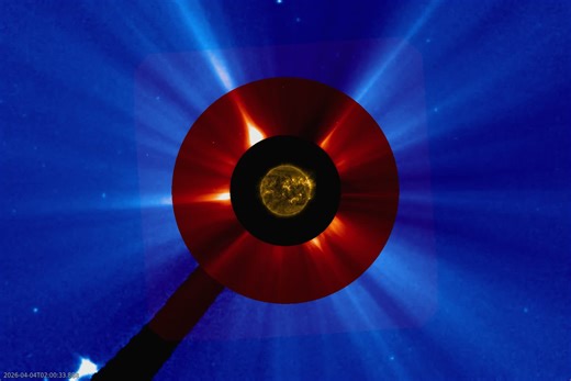 🚀☄️🌌👉🏻9 avril 2026 Destruction de la comète C/2026 A1 (MAPS) Crédit vidéo: Brian Day, SOHO, SDO, JHelioviewer Texte : Cecilia Chirenti (NASA GSFC, UMCP, CRESST II) Alors que l'équipage d'Artemis II se dirigeait vers la Lune cette semaine, la comète C/2026 A1 (MAPS) devait faire son approche la plus proche du Soleil lundi. À ce moment-là, la comète et le Soleil auraient été plus proches que la moitié de la distance séparant la Terre et la Lune. La comète n'a pas survécu; la vidéo présentée a 
