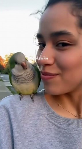 This bird learned to give perfect kisses back
